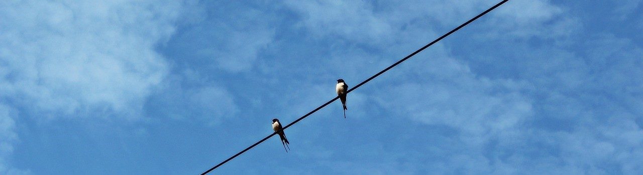 Verein Naturhof Hummelwiese Telgte