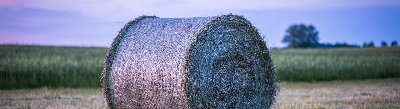 Verein Naturhof Hummelwiese Telgte