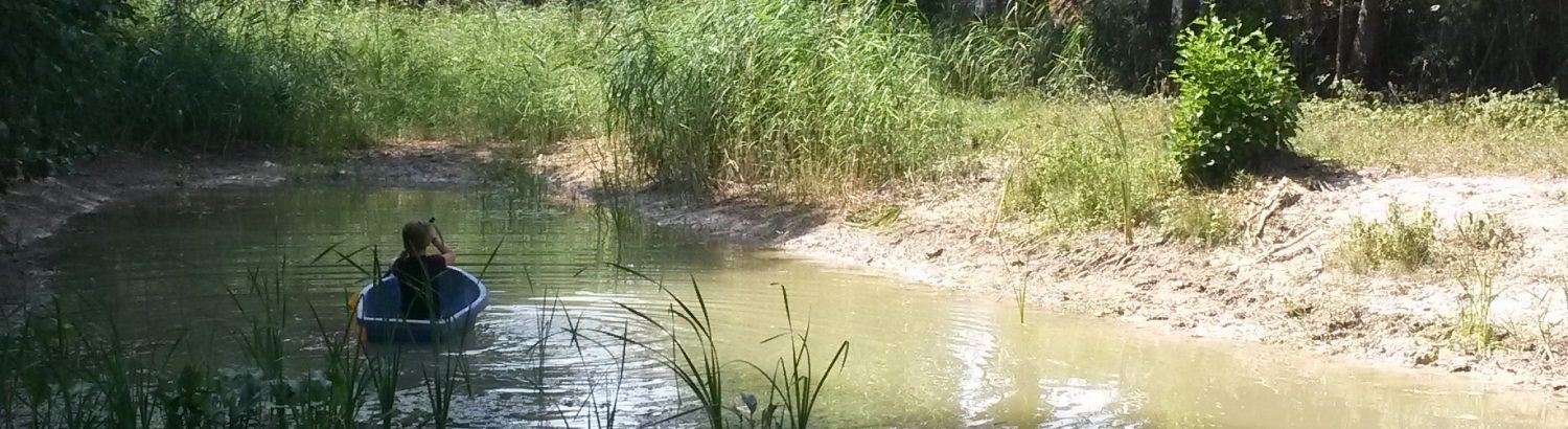 Verein Naturhof Hummelwiese Telgte